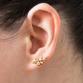 Star Earrings