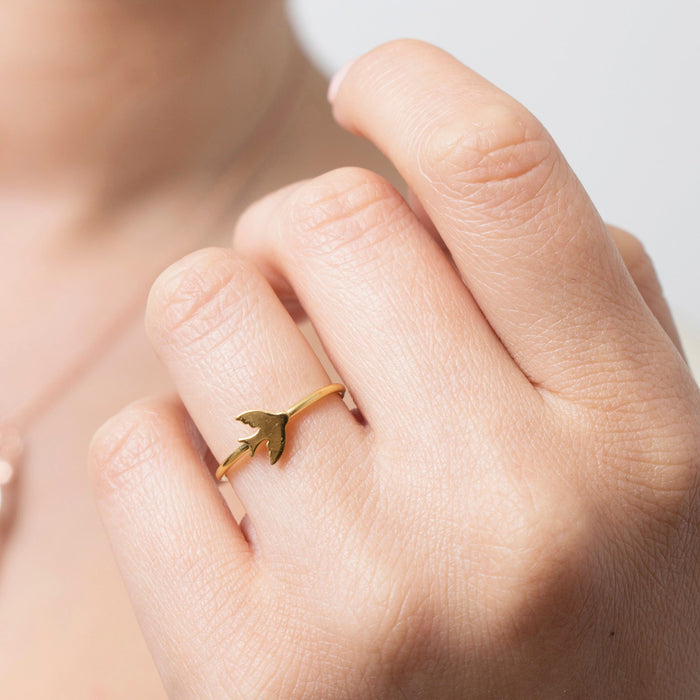 Adjustable Bird Stacking Ring