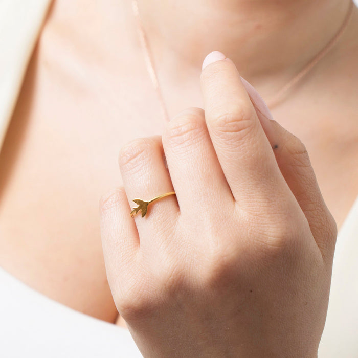 Adjustable Bird Stacking Ring