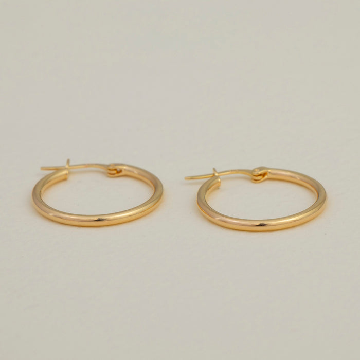 Gold Hoop Earrings