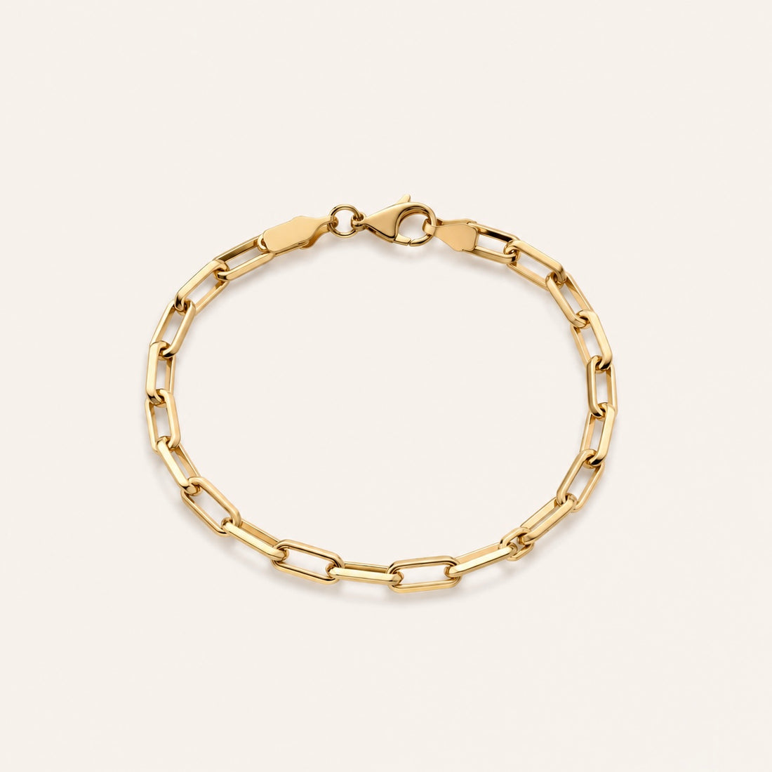 Paperclip Bracelet