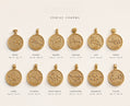 Zodiac Sign Charm