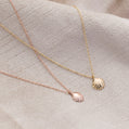 Shell Necklace